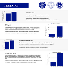 Load image into Gallery viewer, Phyto-C Skin E in C Advanced