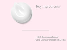Load image into Gallery viewer, Calecim Professional Multi-Action Cream 50g
