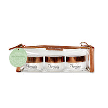 Load image into Gallery viewer, Osmosis Spring Mini Mask Trio