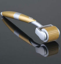 Load image into Gallery viewer, GTSTROLLER Titanium Alloy Derma Roller 1.0mm - European Beauty by B